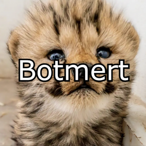Zzzzz 1769261436botmert — GoodAssSub Discord member tier list option 77