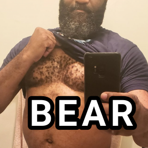 Bear — types of gay men option 1