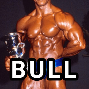 Bull — types of gay men option 2