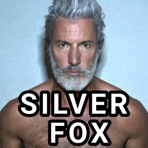 Fox — types of gay men option 6