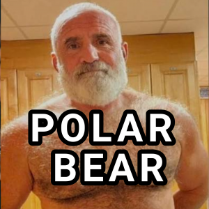 Polar Bear — types of gay men option 9