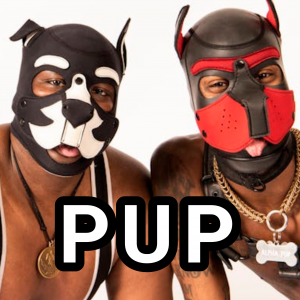 Pup — types of gay men option 10