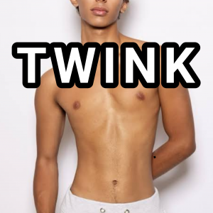Twink — types of gay men option 12