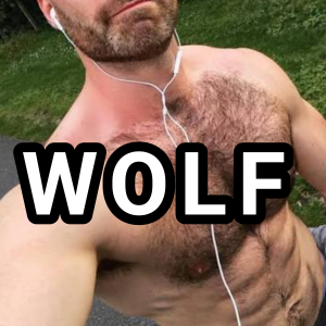 Wolf — types of gay men option 14