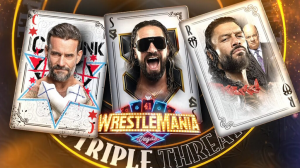 35wm41 — Every WWE PLE Main Event Under Triple H (Main Roster) option 35