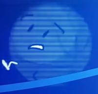 Zzzzz 1786917246screenshot 2026 08 16 164322 — TPOT Character Tier List (As Of TPOT 24) option 23