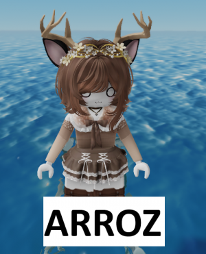 Zzzzz 1770069680arroz — Tierlist de creadores hispanos de tsb/otros 2026 option 2