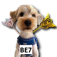 Zzzzz 1770069689be7 — Tierlist de creadores hispanos de tsb/otros 2026 option 119