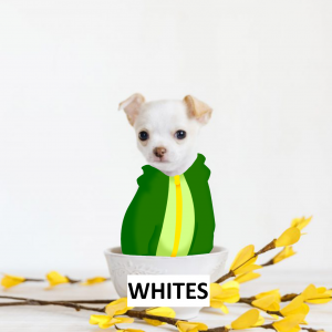 Zzzzz 1770069689whites — Tierlist de creadores hispanos de tsb/otros 2026 option 125
