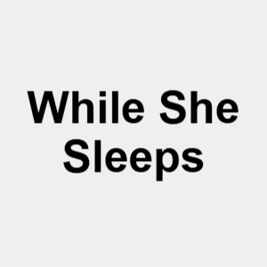 Zzzzz 1770150661image 8 — Emo/Scene Bands (under construction) option 182