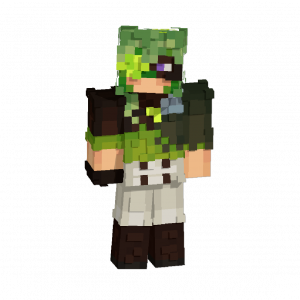 Zzzzz 1778007761clover — Stage SMP Members option 25