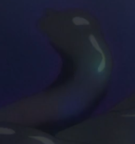 Screenshot 2026 03 17 233201 — Rezero Arc 6 option 60