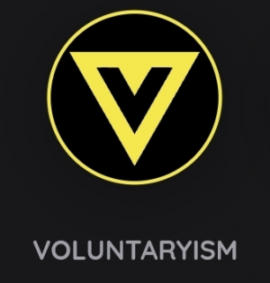 NeoValues Values — option 28