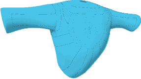 Zzzzz 17854463651 25 990 401701732 Sunbeamshirt — (Animal Jam Classic) Contest and Event Items option 69