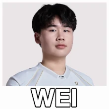Zzzzz 1789822492igwei2026split1 — Worlds 2026 Players & Teams option 46