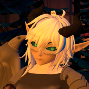 Zzzzz 1785983440freyarea — Wardens of Leefside Characters option 31