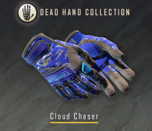 Cloudchaser — Dead Hand Gloves option 6