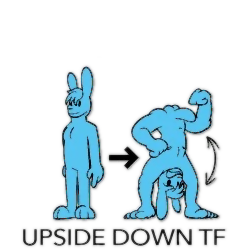 Udtf — Furry Transformation Categories option 36