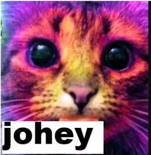 Johey — Sweetness TierList 2026 option 13