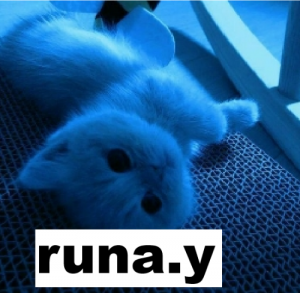 Zzzzz 1773790331runa Y — Sweetness TierList 2026 option 47