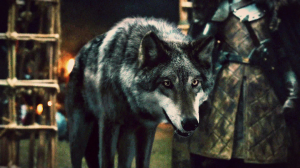 Zzzzz 1776396885grey — GoT S3 Ep 9-10 option 94