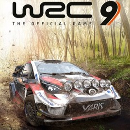 Wrc9 — Racing Games option 165
