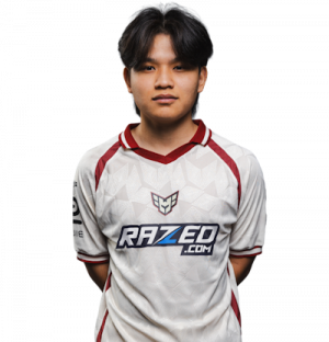 Gv0gnkexxo17ch1ao1brcy — CS2 Pro Players 2026 option 31