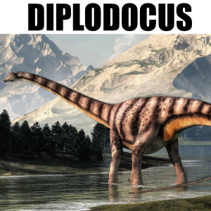 Diplodocus — Fidel Dinosaurier option 8