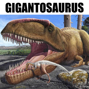 Gigantosaurus — Fidel Dinosaurier option 10