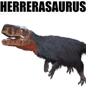 Herrerasaurus — Fidel Dinosaurier option 11