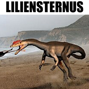 Liliensternus — Fidel Dinosaurier option 13