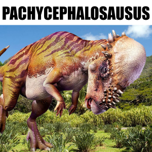 Pachycephalosaurs 1 — Fidel Dinosaurier option 19