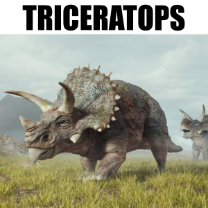 Triceratops — Fidel Dinosaurier option 29