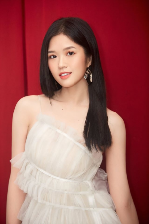 Nghệ sĩ trong lĩnh vực âm nhạc ( Vietnamese ) — option 43