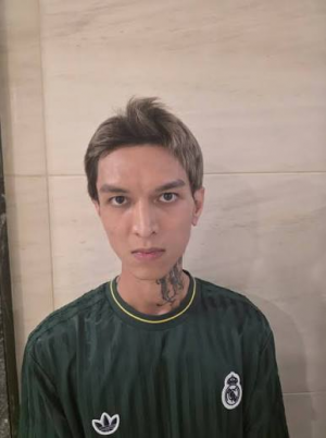 Nghệ sĩ trong lĩnh vực âm nhạc ( Vietnamese ) — option 51