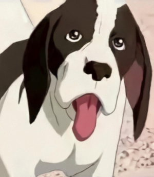 1danny 1 — jojos ranked option 5