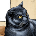 4tama Yoshi Kitty — jojos ranked option 97
