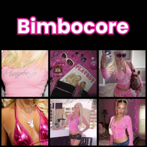 Zzzzz 1777646941bimbocore 2 — All Aesthetic/Subculture/Visual and Fashion genre option 56