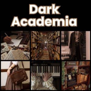 Zzzzz 1777646945dark Academia 2 1 — All Aesthetic/Subculture/Visual and Fashion genre option 118