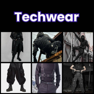 Zzzzz 1777648097techwear 1 — All Aesthetic/Subculture/Visual and Fashion genre option 324