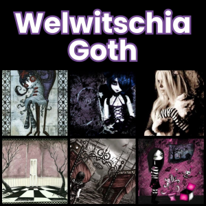 Zzzzz 1784320872welwitschia Goth — All Aesthetic/Subculture/Visual and Fashion genre option 351