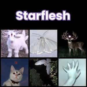 Zzzzz 1784320874starflesh — All Aesthetic/Subculture/Visual and Fashion genre option 308