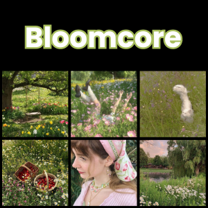Zzzzz 1784321299bloomcore — All Aesthetic/Subculture/Visual and Fashion genre option 60