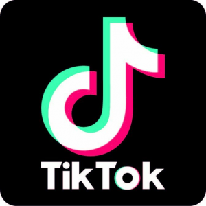 Zzzzz 1786243673logo Tiktok Inkythuatso 2 Mesa De Trabajo 1 27 09 13 05 — ultimate tier list fan fandom fanbase option 78