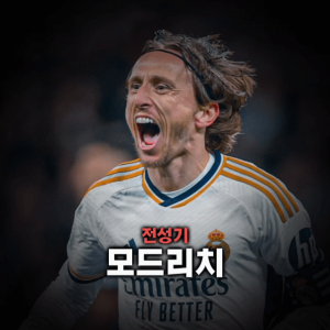 축구선수 티어표 — option 11