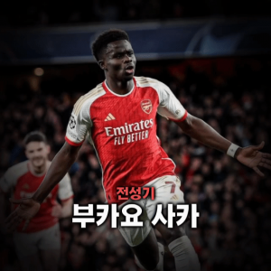 축구선수 티어표 — option 48