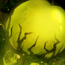 Limbus Company Abnormality Tier List (As of 5/28/26) — option 3