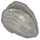 80px Sts2nutritiousoyster — Neow Relics Tierlist StS2 option 18