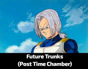 Zzzzz 17842255841000080809 — Dragon Ball Powerscaling characters option 289