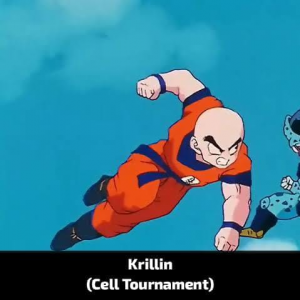 Zzzzz 17842255851000080826 — Dragon Ball Powerscaling characters option 308